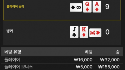 뉴헤븐 후기