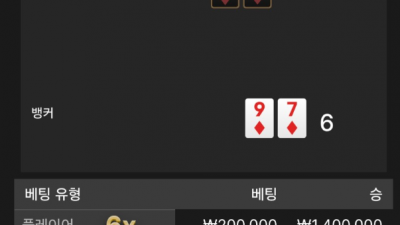 뉴헤븐 후기