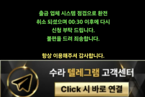 수라 65만원도 환전 안내주는 개먹싸