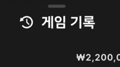 뉴헤븐 후기