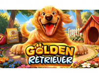 Golden Retriever (골든 리트리버)