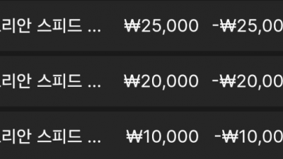 뉴헤븐 후기