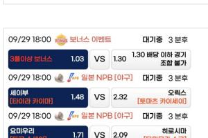 라쿤 rac14.com 먹튀신고