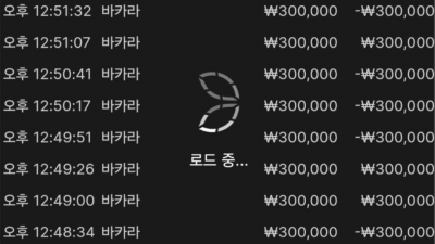 뉴헤븐 후기