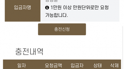 브이텐후기