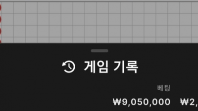 브이텐 후기