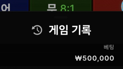 뉴헤븐 후기