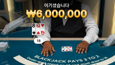 뉴헤븐 후기