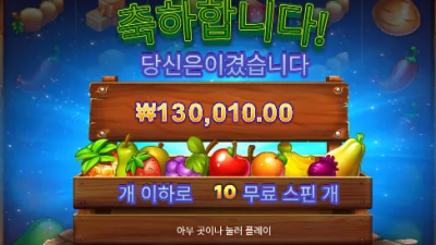 돌리고 후기