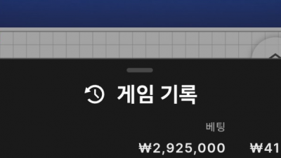 뱅크카지노 후기