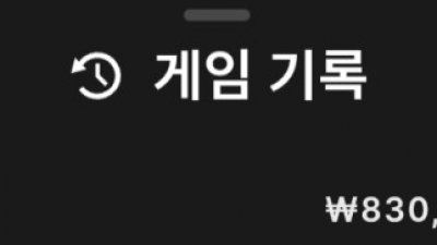 뉴헤븐 후기