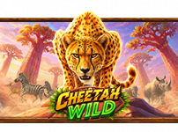 Cheetah Wild (치타 와일드)