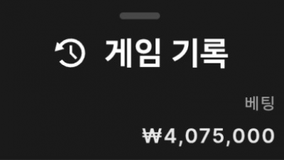 스티플카지노 후기