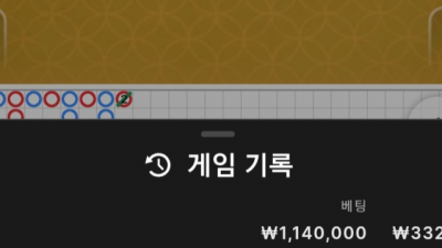 뉴헤븐 후기