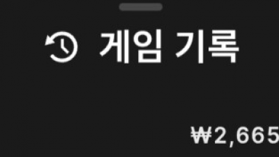 뉴헤븐 후기